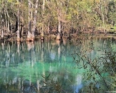 Manatee Springs State Park Scuba Dive