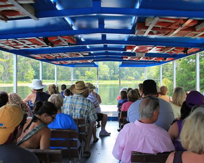 45-Minute Wakulla Springs Wildlife Boat Tour