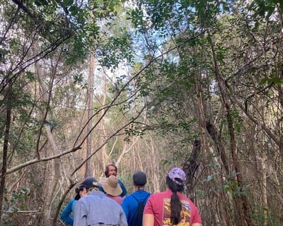 Guided Everglades National Park Hike & Boat Tour
