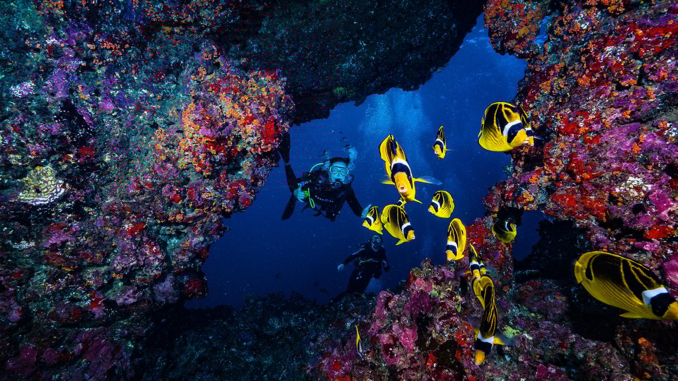 Lanai Cathedrals Two-Tank Boat Dive Experience