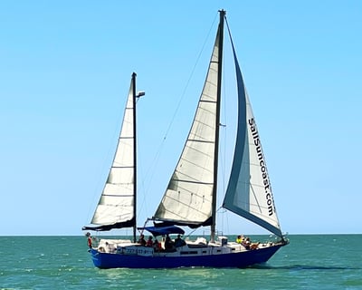 Private Sailing Charter in Treasure Island