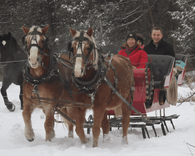 Private Horse-Drawn Sleigh Ride in Princeton