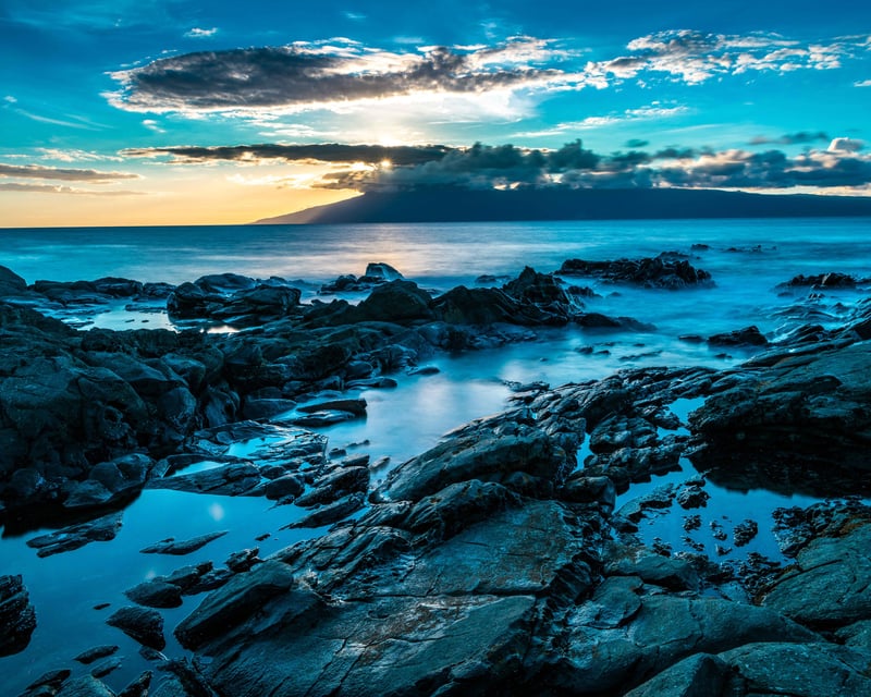 Night Creatures Exploration for Kids in Kapalua