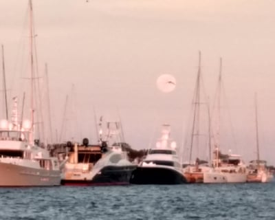 Charleston Harbor Night Sail on Luxury Yacht