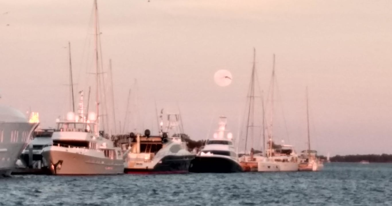 Charleston Harbor Night Sail on Luxury Yacht