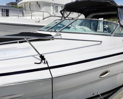32' Chris Craft Charter in Washington DC