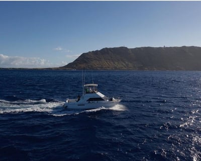 Explore North Shore Sunset Safari Cruise