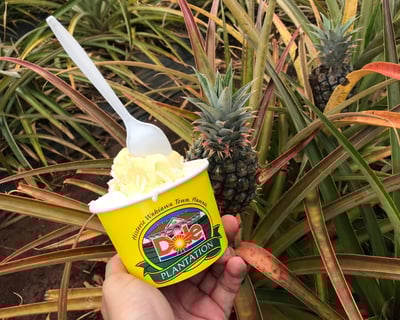 North Shore Food Tour: Farms, Haleiwa & Local Eats