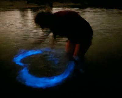 Bioluminescence Kayak Adventure