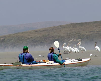 4-Hour Guided Kayak Tour of Drakes Estero