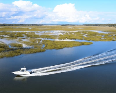 Cruise Hilton Head on a 3-Hour Adventure Charter