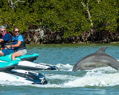 Dolphin Jet Ski Tour in Goodland