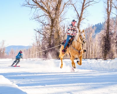 2-Hour Skijoring Experience in Teton Village