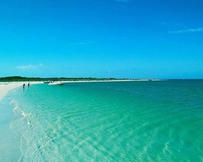 2-Hour Dolphin & Snorkeling Cruise to Shell Key