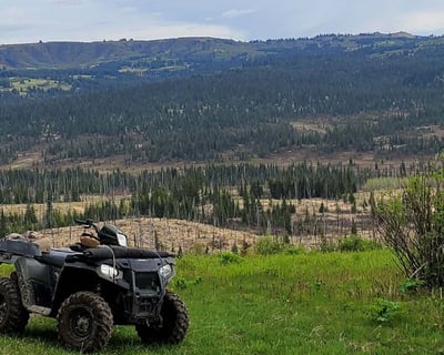Evening ATV Trail Ride in Homer