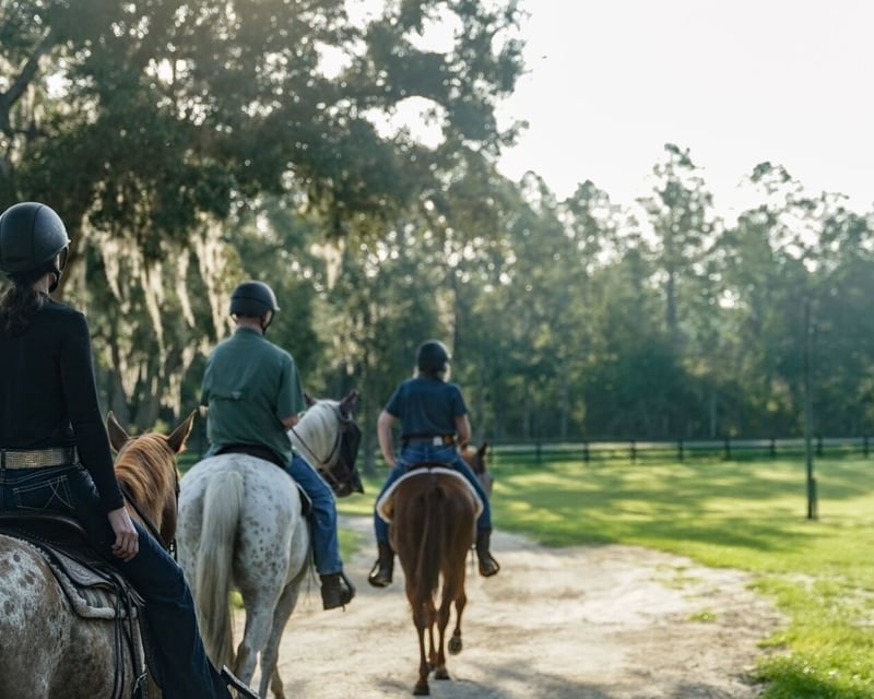 Beginner Horseback Ride on 90-Acre Property in Bronson