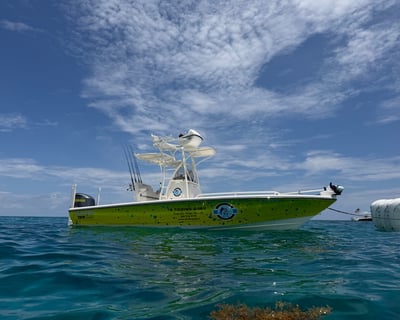 Full-Day Inshore Fishing Charter in Islamorada