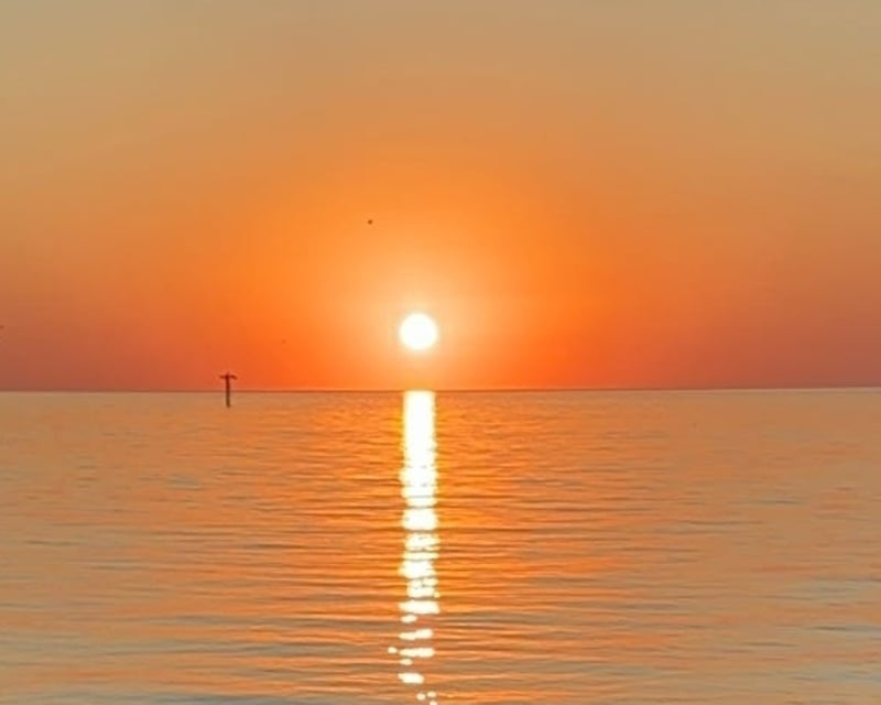 Anclote Key Sunset Cruise & Shelling from Tarpon Springs
