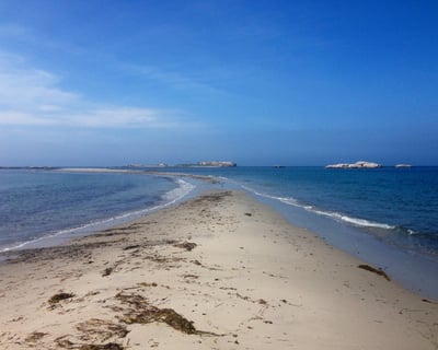 Little Compton Beaches and Hideaways 2-Hour Bike Tour