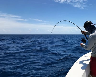 6-Hour Private Fishing Charter in Key West