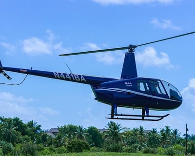 Scenic Helicopter Tour of Punta Cana