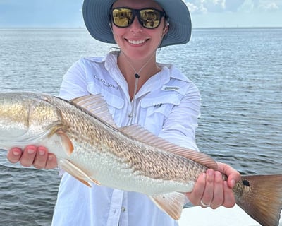 St. Petersburg Full-Day Inshore Fishing Charter