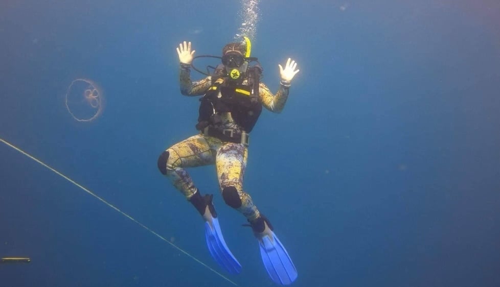 Half-Day Scuba Refresher with Gear Included