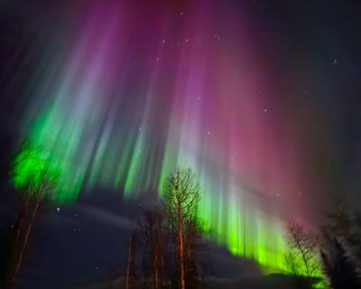 Willow Northern Lights Snowmobile & UTV Tour