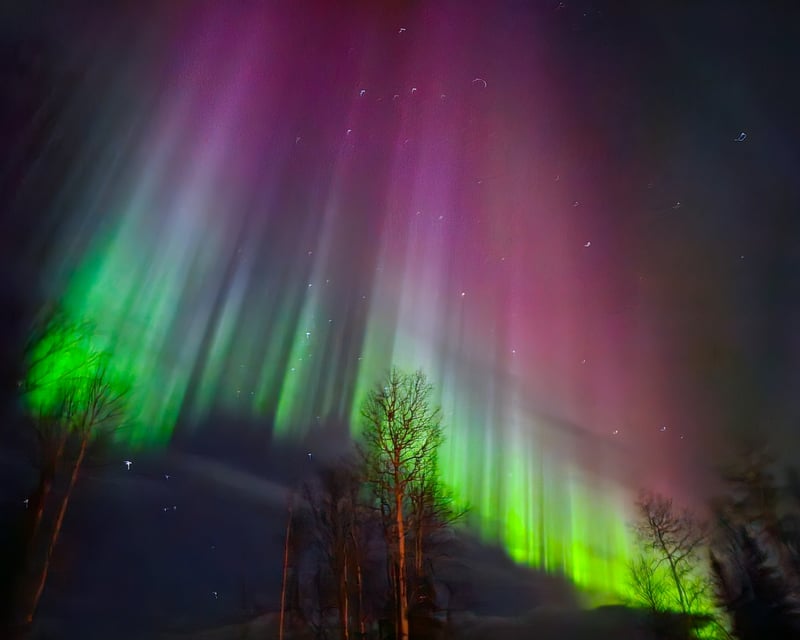 Willow Northern Lights Snowmobile & UTV Tour
