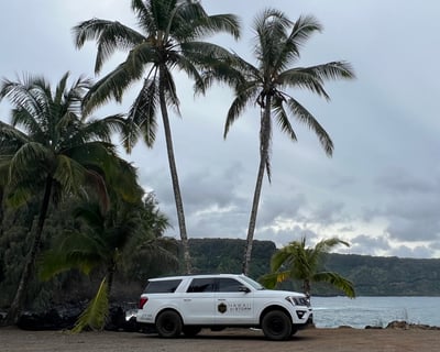 Half Day Hana Adventure with Airport Pick-Up