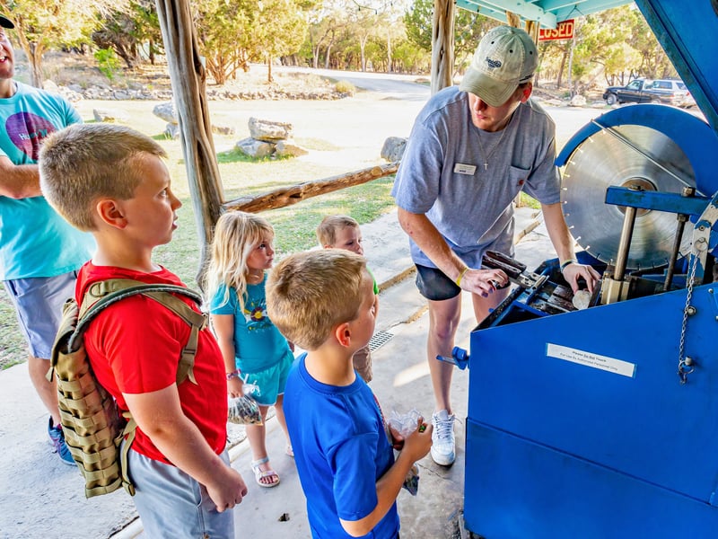 Gallery image 3
