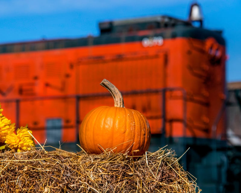 Pumpkin Patch Train Ride in Danbury