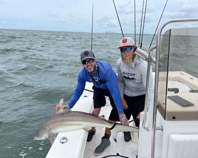 4-Hour Inshore Fishing Charter in St. Petersburg