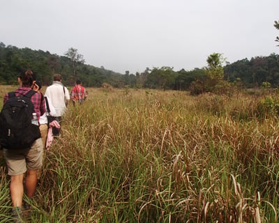 Wildlife Release Station Stay in Koh Kong