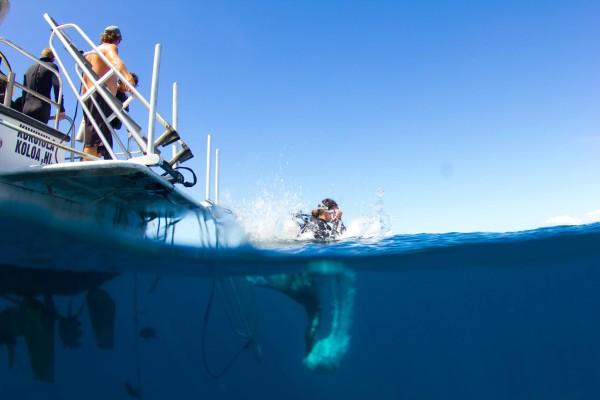 Koloa Scuba Dive: 2-Tank Drift to 100 Feet