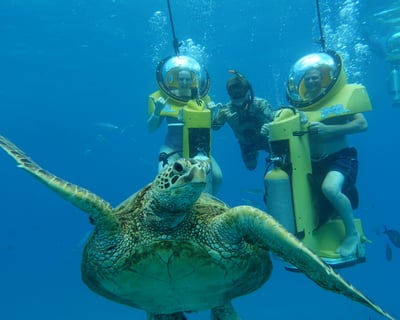Honolulu Submarine Scooter & Turtle Snorkeling Tour