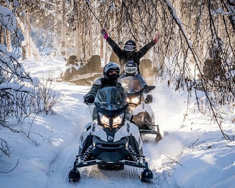 Full-Day Snowmobile Rental in Ronald