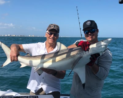 Shark Fishing Charter Port Canaveral (Up to 6)
