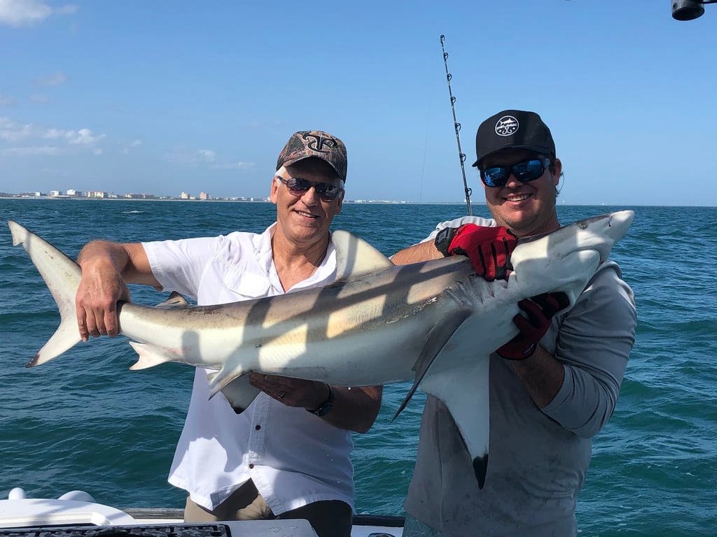 Shark Fishing Charter Port Canaveral (Up to 6)