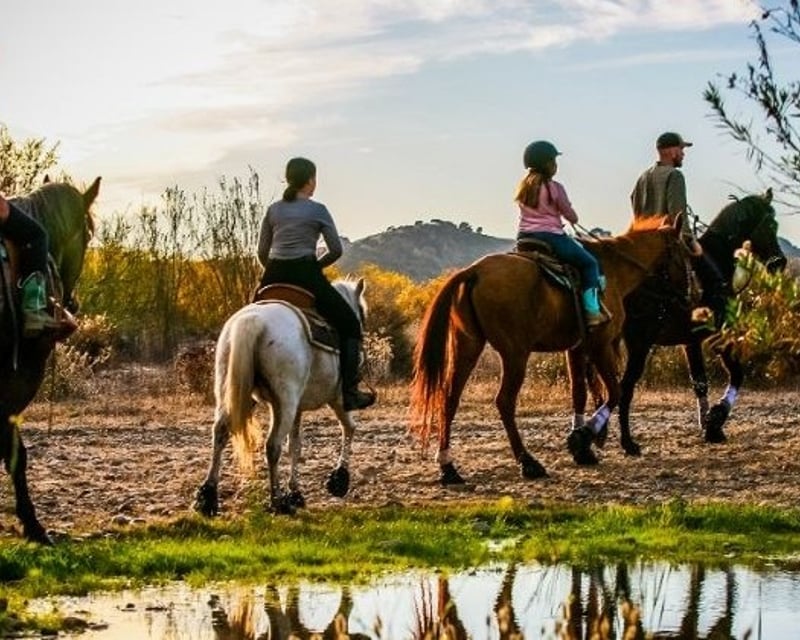 75-Minute Horseback Trail Ride in Buellton