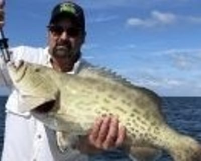 Crystal River Grouper Fishing Charter