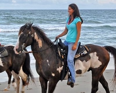 Guided Beach Horseback Ride in Cape Hatteras