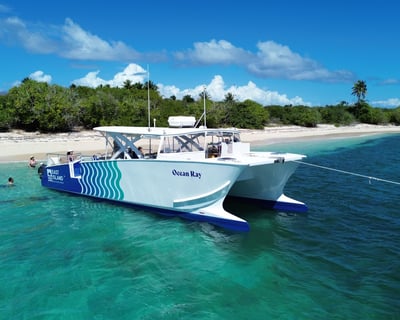 Private Snorkeling Charter in Fajardo