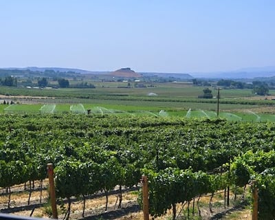 Hidden Gem Wine Tour in Snake River Valley