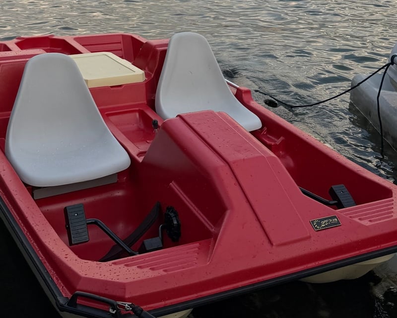 Hudson River Pedal Boat Rental in Jersey City