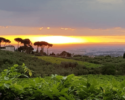 Frascati Sunset Wine Tasting & Dinner Tour