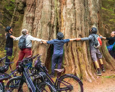 Stanley Park Guided Bike Tour: Rainforest to Sea