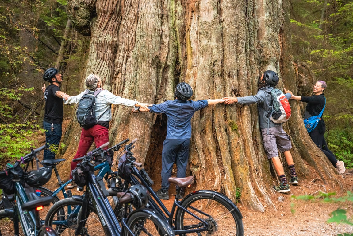 Stanley Park Rainforest and Coastal Exploration Bike Tour