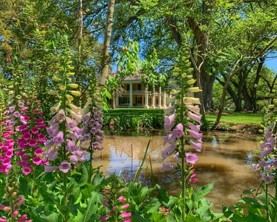 Explore Houmas House Self-Guided Garden Tour