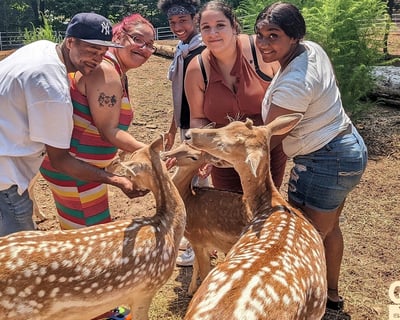 Ultimate Interaction Package at North Georgia Wildlife & Safari Park